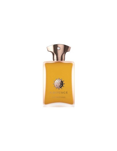 amouage_overture_eau_de_parfum_para_hombre_100ml_0701666410287_oferta