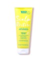 Umberto Giannini Champú Anticaspa Revitalizante Del Cuero Cabelludo Scalp Restore 250 Ml