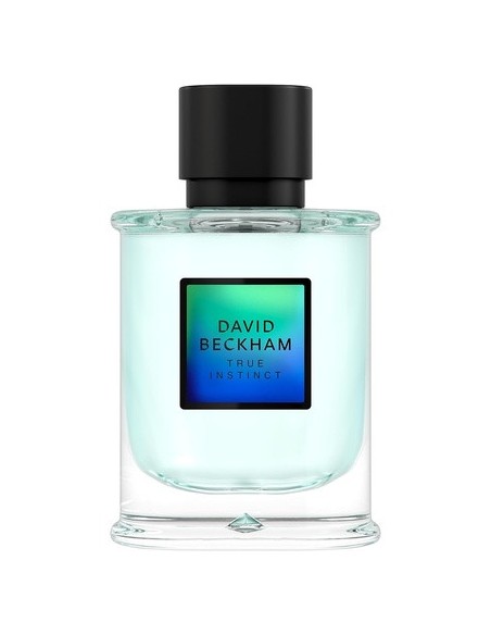 david_beckham_true_instinct_eau_de_parfum_75ml_3616304895685_oferta