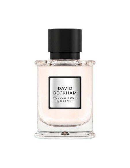 david_beckham_follow_your_instinct_eau_de_parfum_50ml_3616304892813_oferta