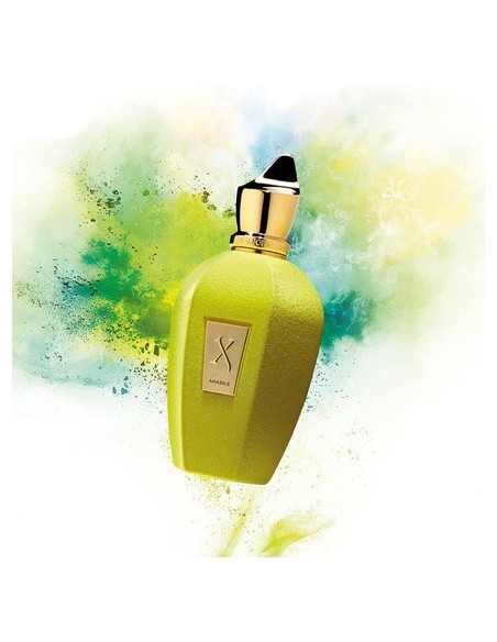 Xerjoff Amabile Eau de Parfum Vaporizador Unisex 100ml para Mujer