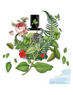 diptyque_eau_de_mintha_c_eau_de_parfum_75ml_unisex_3700431417640_oferta 2