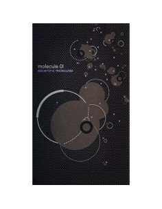 escentric_molecules_molecule_01_eau_de_toilette_vaporizador_30ml_5060103310098_oferta 2
