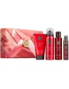 Rituals the Ritual of Ayurveda Set de Cosmética Small Gift Set 4 Piezas