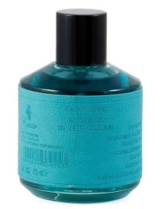 paris_corner_emir_valar_a_chaos_in_the_ocean_eau_de_parfum_100_ml_unisex_6200221339253_oferta
