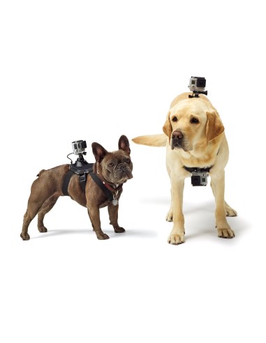 Kiwiku.com: GoPro ADOGM-001 - Arnés para perros - Electrónica