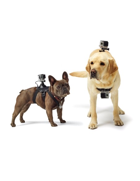Kiwiku.com: GoPro ADOGM-001 - Arnés para perros - Electrónica
