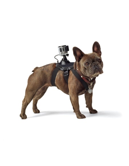 Kiwiku.com: GoPro ADOGM-001 - Arnés para perros - Electrónica