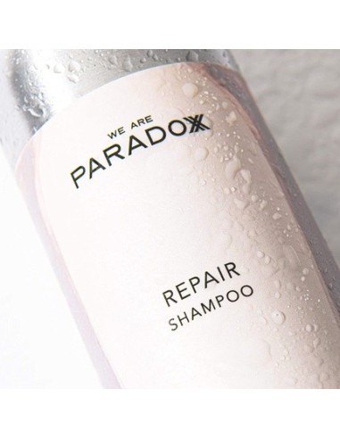 We Are Paradoxx Repair Ginseng Hair Champu Repairing & Strengthening 250ml