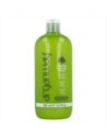 Champú Moisture Repair Arganway (500 Ml)