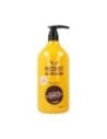 Redist Hair Care Champú Anti Fade Complex 1000 Ml para Cabello Dañado