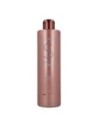 Risfort Black Silver Champu 500ml