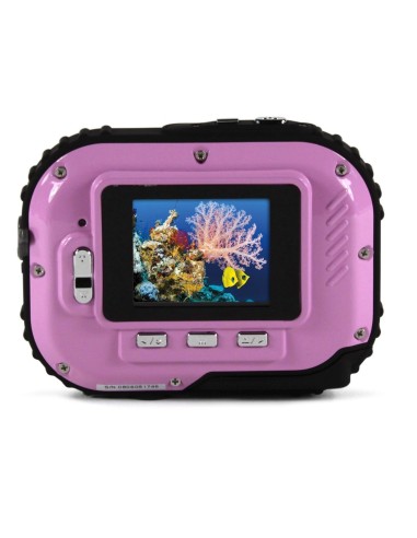 Kiwiku.com: EasyPix Aqua W318 Bubble Belle - Electrónica