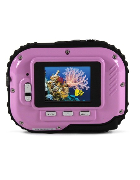 Kiwiku.com: EasyPix Aqua W318 Bubble Belle - Electrónica