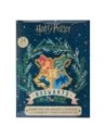 Cinereplicas Calendario de Adviento Harry Potter Hogwarts Con Licencia Oficial
