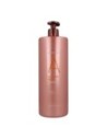 Risfort Champú Profesional 1000 Ml