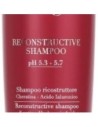 Fanola Botugen Botolife Champú Reparador 300 Ml