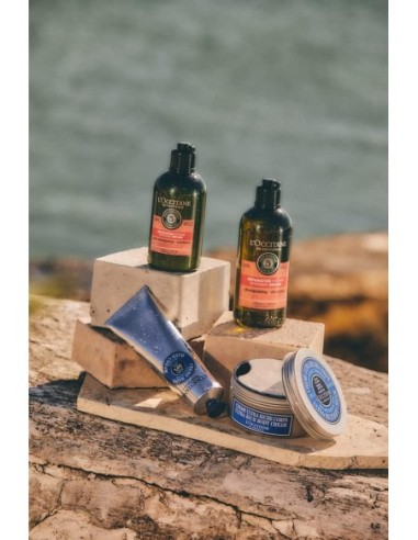 L'OCCITANE Aromachologie Champú Reparación Intensa 500 ml