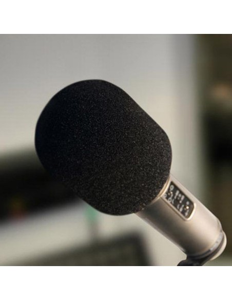røde_ws2_filtro_antipop_de_espuma_para_micrófonos_de_estilo_de_radiodifusión_y_diafragma_grande_0698813000302_promocion