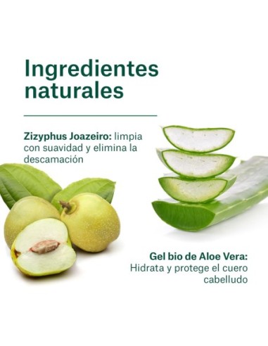 NATURALEZA Y VIDA Champú Bio Anticaspa 300 ml
