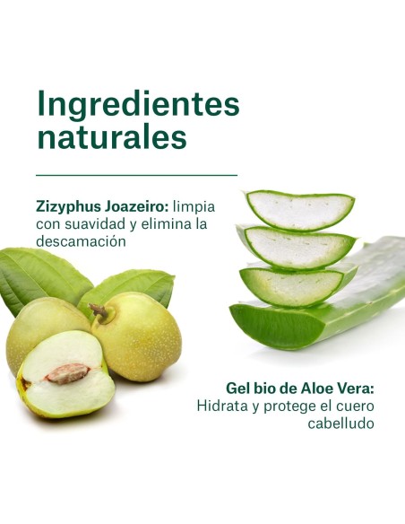 NATURALEZA Y VIDA Champú Bio Anticaspa 300 ml