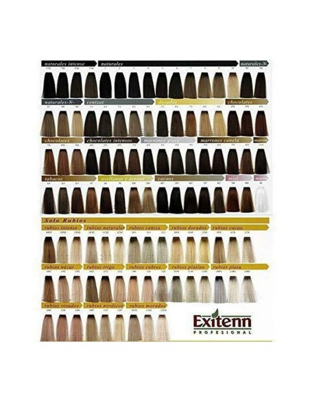 exitenn_color_creme_sin_amoniaco_60_ml_color_plata_para_cabello_8436002835906_promocion