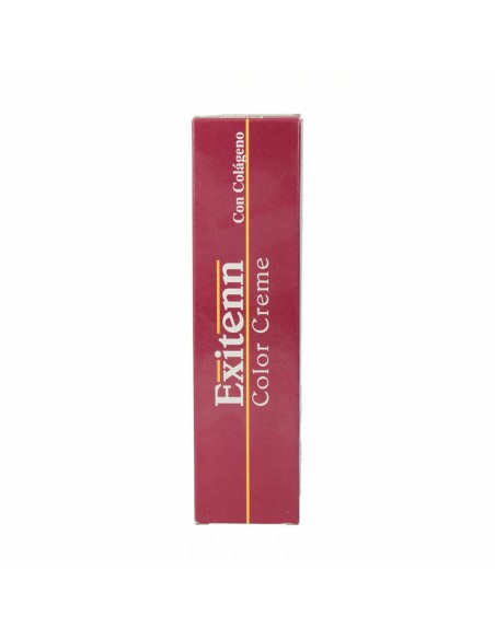 exitenn_color_creme_60_ml_color_1031_tinte_profesional_sin_amoniaco_8445534000409_oferta