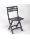 Ipae Progarden Silla Plegable Birki Antracita Resi