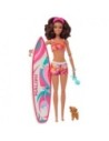 Mattel Barbie Surf Doll And Accessories Hpl69 Muñeca Articulada Con Accesorios Playeros