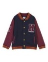 Cerda Sudadera Con Cremallera Cotton Brushed Harry Potter Azul Oscuro Talla 7 Años