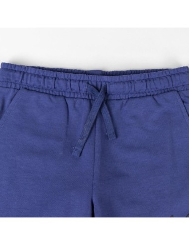 cerda_conjunto_2_piezas_french_terry_bluey_talla_3_años_8445484379877_barato