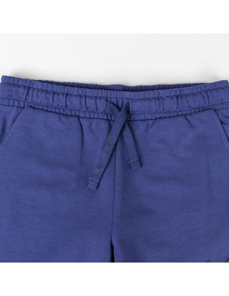 cerda_conjunto_2_piezas_french_terry_bluey_talla_3_años_8445484379877_barato