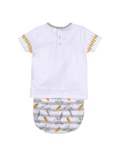cerda_ranita_looney_tunes_bugs_bunny 2