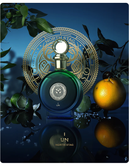 paris_corner_north_stag_expressions_eau_de_parfum_100ml_unisex_6290025488349_promocion