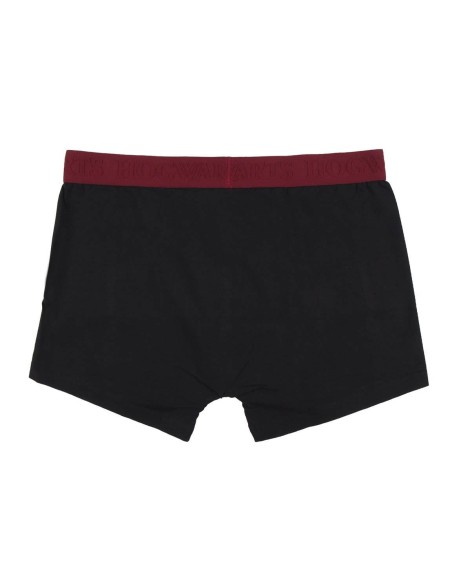 Pack De Boxers 2 Piezas Harry Potter Talla L-XL | CERDA - Kiwiku