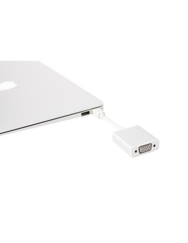 Moshi 99MO023201 - Adaptador Mini DisplayPort a VGA: Kiwiku.com: Informática