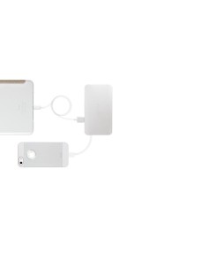 Moshi Bateria portable IonBank 5K con conector Lightning MOS/022106 kiwiku.com