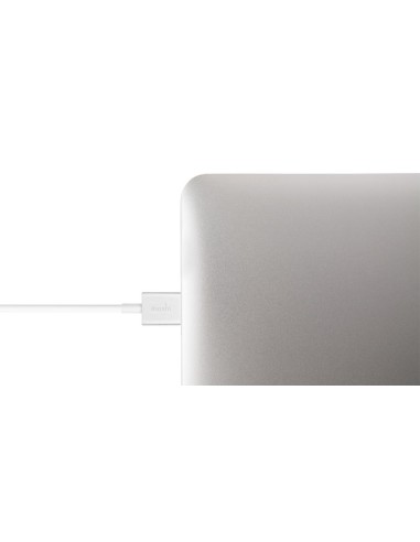 Moshi 99MO023119 - Cable de conector Lightning a USB (1 m) blanco: Kiwiku.com: Electrónica