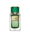 Dolce & Gabbana Velvet Collection Cypress Eau de Parfum 50 Ml Unisex