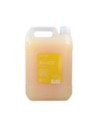 Risfort Champú Mango 5l para Todo Tipo de Cabello Con Aroma Intenso