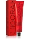 Schwarzkopf Igora Royal Tinte Permanente 60 Ml Color 6-60 Absolutes