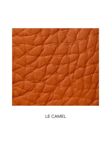 guerlain_rouge_g_carcasa_#le_camel_1_ud_3346470439481_promocion