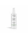 Christophe Robin Hydrating Leave-in Mist Con Aloe Vera 150 Ml  Acondicionador sin Aclarado