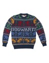Cerda Jersey de Punto Navideño Harry Potter Azul Talla Xxl