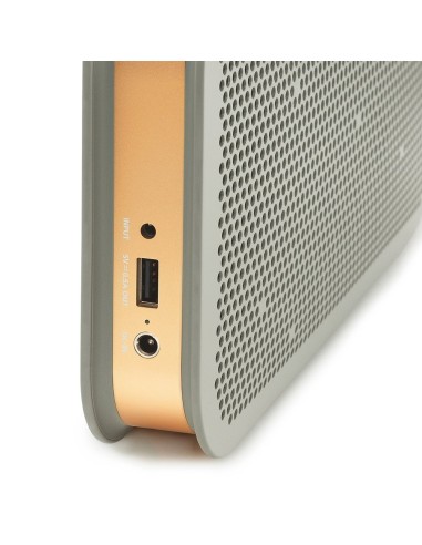 Bang amp Olufsen BAO1290935 - Altavoz portátil Bluetooth, plateado: Kiwiku.com: Electrónica