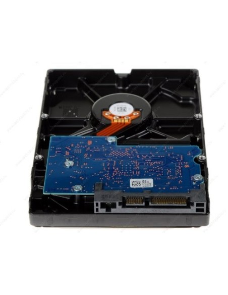 Toshiba DT01ACA100 / HDS721010DLE630: Kiwiku.com: Informática