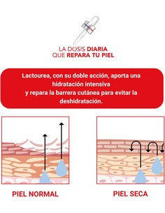 lactovit_lacto-urea_0%_desodorante_roll-on_reparador_50_ml_8411135353312_oferta 2