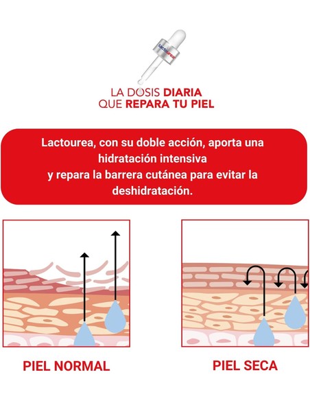 lactovit_lacto-urea_0%_desodorante_roll-on_reparador_50_ml_8411135353312_promocion