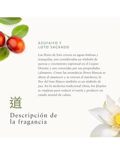 rituals_the_ritual_of_jing_mini_fragrance_sticks_70_ml_-_barritas_aromáticas_relajantes_para_el_hogar_8719134071825_oferta 2