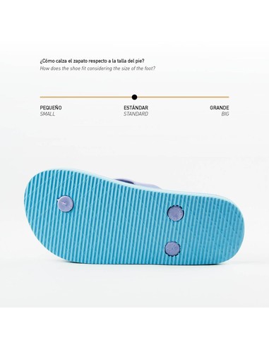 Chanclas CERDA Frozen Color Azul Talla 32/33 | Kiwiku